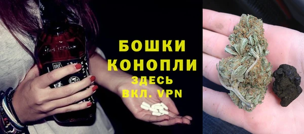 ГАЛЛЮЦИНОГЕННЫЕ ГРИБЫ Медвежьегорск