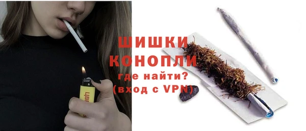 ГАЛЛЮЦИНОГЕННЫЕ ГРИБЫ Медвежьегорск