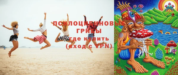 ешки Медногорск
