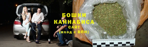 ГАЛЛЮЦИНОГЕННЫЕ ГРИБЫ Медвежьегорск