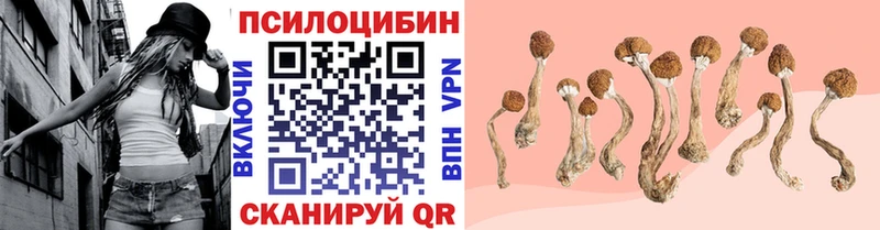 OMG сайт  наркота  Еманжелинск  Псилоцибиновые грибы Cubensis 