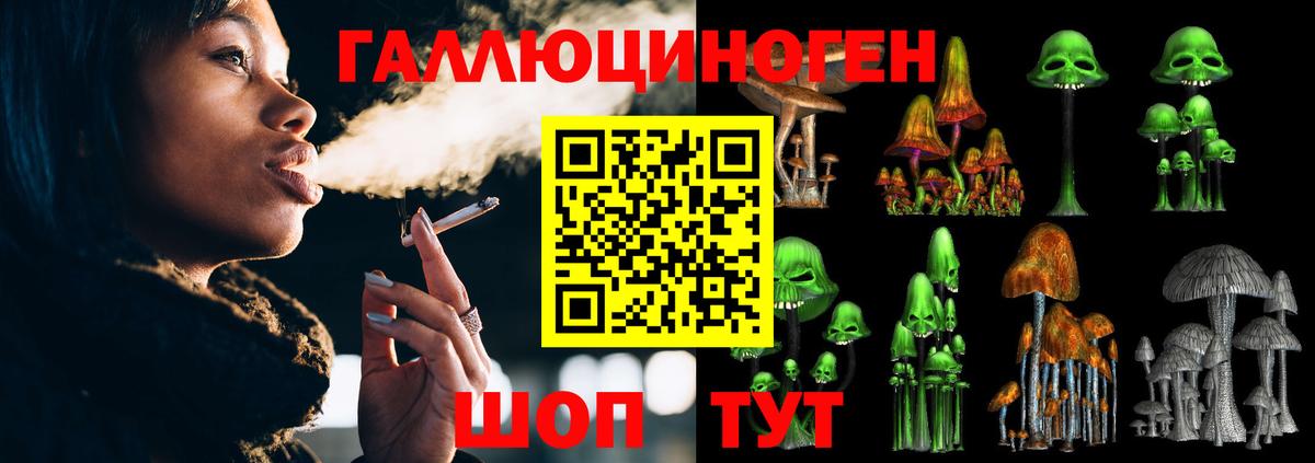 Еманжелинск  Галлюциногенные грибы MAGIC MUSHROOMS  Вход с VPN  Псилоцибиновые грибы Psilocybe 